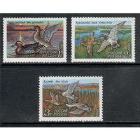 Россия /1992/ Фауна / Утки / Michel #RU254-256 / Серия 3 Марки