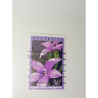 Австралия год 1986.   орхидея Elythranthera emarginata.