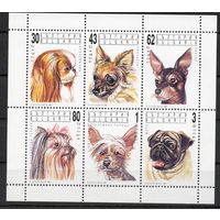 Болгария 1991. Собаки лист  (3930)