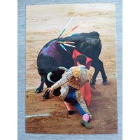 Этнография. Испания, коррида