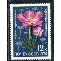 СССР 1974. Цветы. Гвоздика
