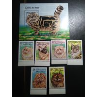 Сахара 1999 Кошки.