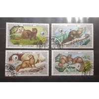 Монголия. 1986 год. Фауна. Пушные звери (614)