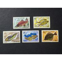1983 СССР. Рыбы. Полная серия