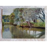 1954. Соколов. Тихая река