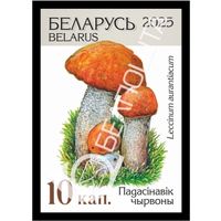 Беларусь 2025г 18-й стандартный выпуск. Падасiнавiк чырвоны (самокл. )MNH