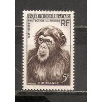 ФФ1 Французская Западная Африка 1955 Шимпанзе Фауна