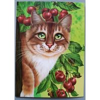 Кот и вишня. Ирина Гармашова. Авторская открытка, глянец