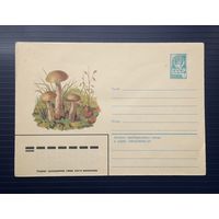 СССР 1979 ХМК худ.Игнатьев. Подберезовик.(2)