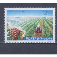[451] Румыния 1982. Флора.Плоды.Ягоды.Фрукты.Виноград на почтовых марках. MNH