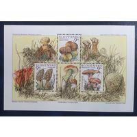 Словения 1997 Грибы