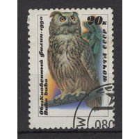 СССР 1990 Фауна Птицы Совы