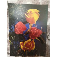 Открытка СССР чистая