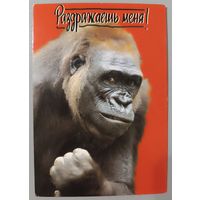 Обезьяна. Открытка