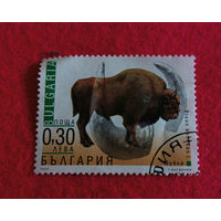 Болгария, 2000, зубр