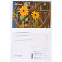 Беларусь. 2019. Планета Беларусь