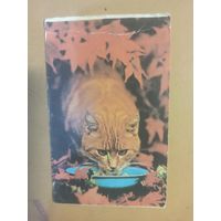 Календарь 1990 кошки/1