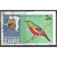 Заир. Птицы. Золотистая щурка. 1979г. Mi#590.