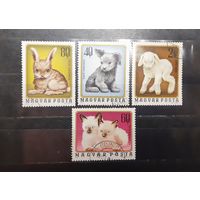 Венгрия. 1974 год. Фауна. Зверята (582)