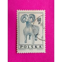 Польша. Скульптура. ( 1 марка ) 1966 года. 11-1.