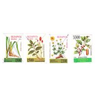 Беларусь 1996 Лекарственные растения Погашены перечеркиванием