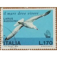 Италия 1978. Фауна. Птицы. Larus Audouinii
