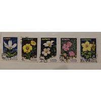 РАСПРОДАЖА КОЛЛЕКЦИИ. СССР, марки "цветы"