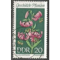 ГДР. Цветы. Лилии. 1969г. Mi#1459.