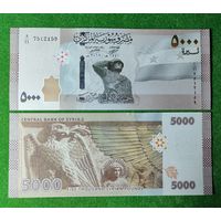 Сирия 5000 фунтов 2019 года UNC