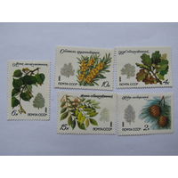 Деревья и кустарники.