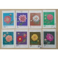 Вьетнам 1982. Флора. Цветы. Полная серия