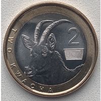 Замбия 2 квачи 2024 г.