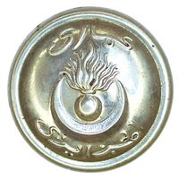 Алжир. Мундирная пуговица. 25 мм