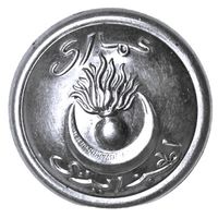 Алжир. Мундирная пуговица. 25 мм