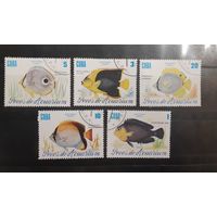 Куба. 1985 год. Фауна. Рыбы (21)