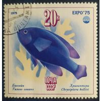 СССР 1975  ЕХРО-75, рыбы 1 из 5 , клей.