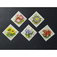 1981 СССР. Цветы Украинских Карпат. Полная серия.