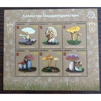 20192019 Грибы-Казахстан