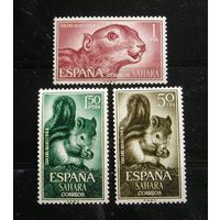 Испанская Сахара 1964 Белки