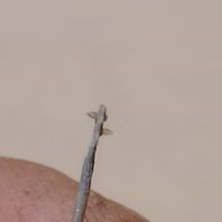 Игла от проигрывателя СССР бу цена за штуку