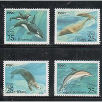 СССР-1990, (Заг.6186-6189)  ** , Морская фауна,