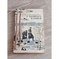 А.Золототрубов У чёрного камня