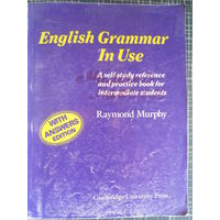 English Grammar In Use (издание до 2003 года)