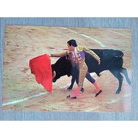Этнография. Испания, коррида