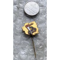 Значок Польша, ОНР, молодежная организация