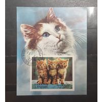 Шарджа. 1972 год. Фауна. Кошки. Блок (617)