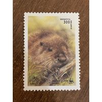 Беларусь 1995. Бобёр. Марка из серии