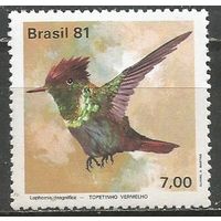 Бразилия. Птицы. Калибри-кокетка. 1981г. Mi#1824.