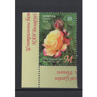 Флора цветы Беларусь 2014 Центральный ботанический сад "Роза"Глория Дей"