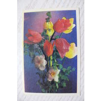 Календарик, 1987, Цветы (тюльпана, нарциссы), изд. Грузия.